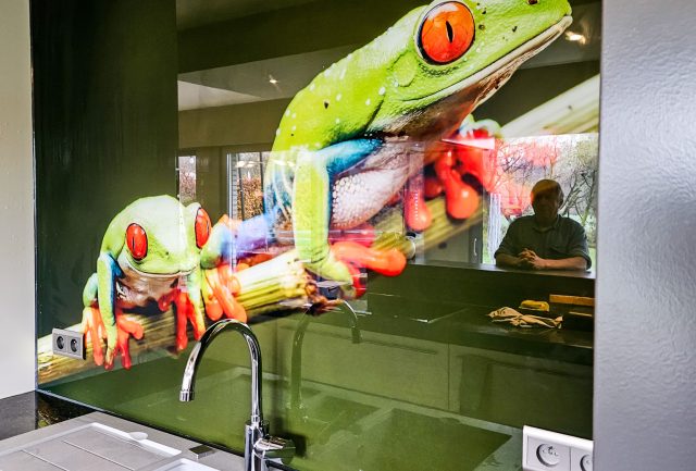 Keuken spatwand kleurrijke kikker in Meerhout